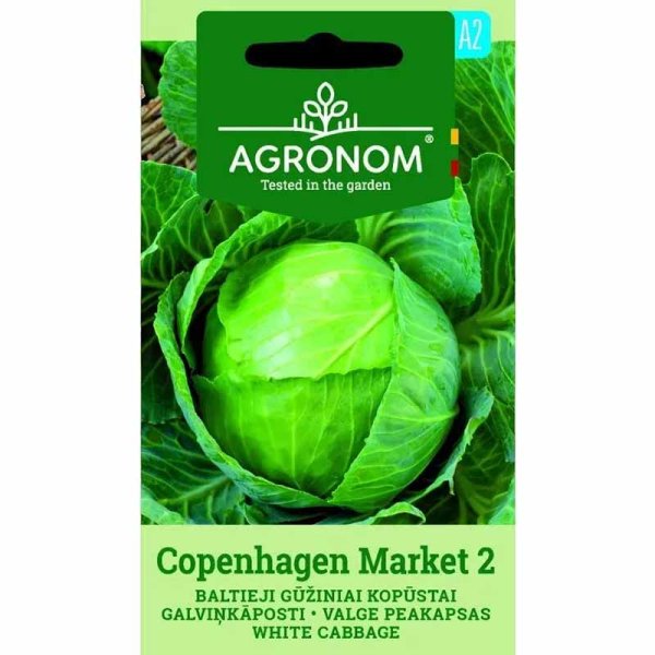 Zoom bild av Vitkål 'Copenhagen market'