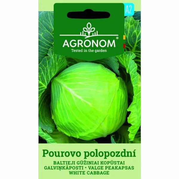 Zoom bild av Vitkål 'Pourovo polopozdni'