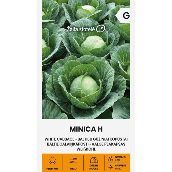 Zoom bild av Vitkål 'Minica' H