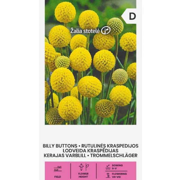 Zoom bild av Solboll 'Billy buttons'