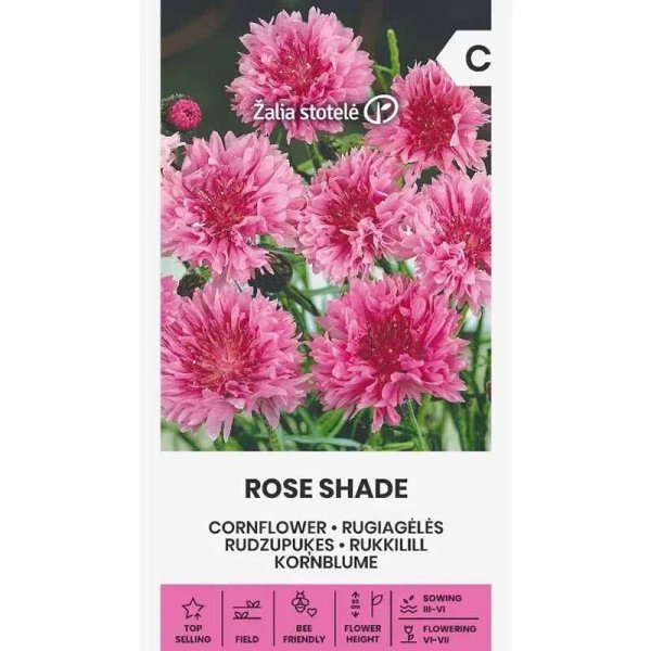 Zoom bild av Blåklint 'Rose shade'