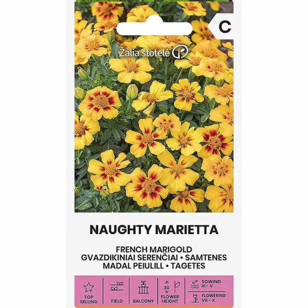 Zoom bilde av Fløyelsblomst 'Naughty Marietta'