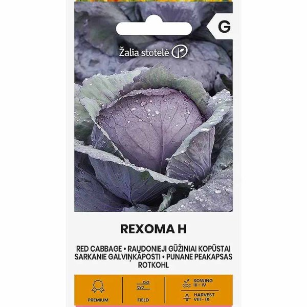 Zoom bilde av Rødkål 'Rexoma' h