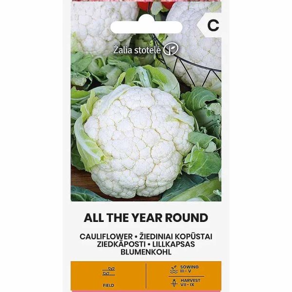 Zoom bild av Blomkål 'All the year round'
