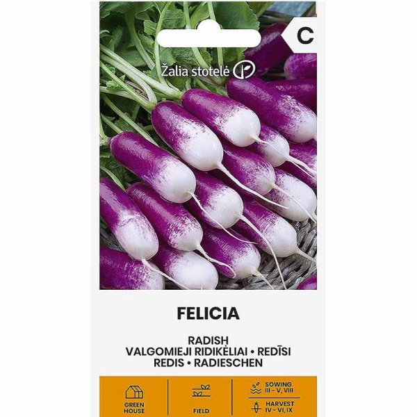 Zoom bild av Rädisa 'Felicia'