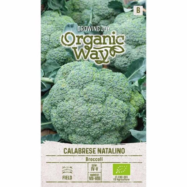 Zoom bilde av Brokkoli 'Calabrese natalino'
