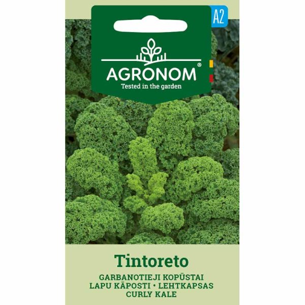 Zoom bild av Grönkål 'tintoreto'