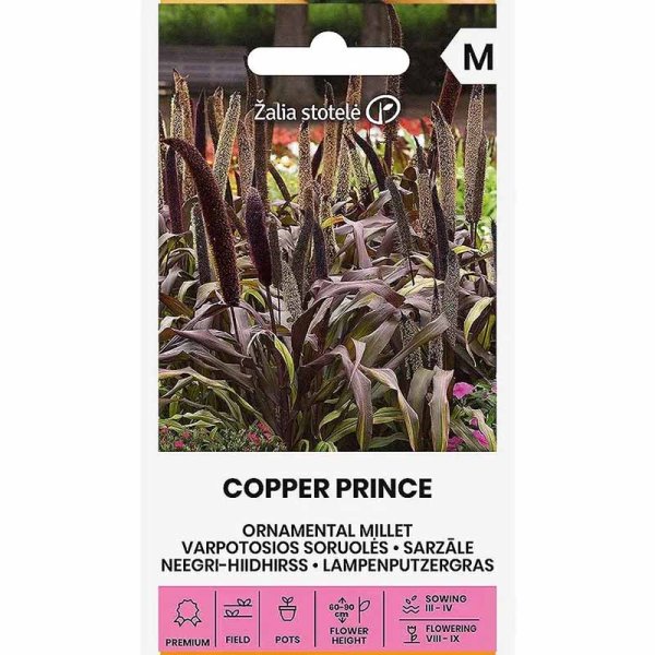 Zoom bilde av Perlehirse 'Copper Prince' h