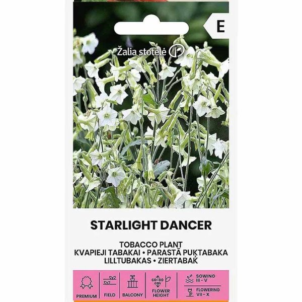 Zoom bilde av Prydtobakk 'Starlight Dancer'