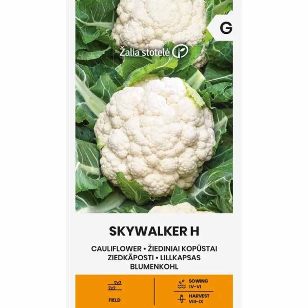 Zoom bild av Blomkål 'Skywalker'