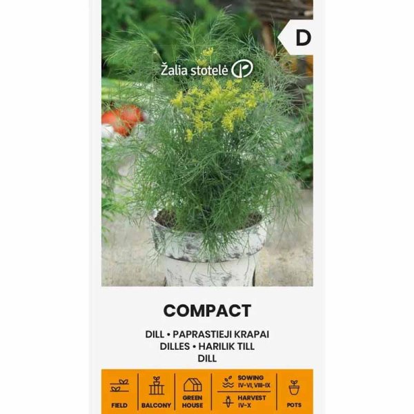Zoom bild av Dill 'Compact'