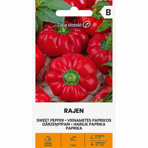 Zoom bild av Paprika 'Rajen'
