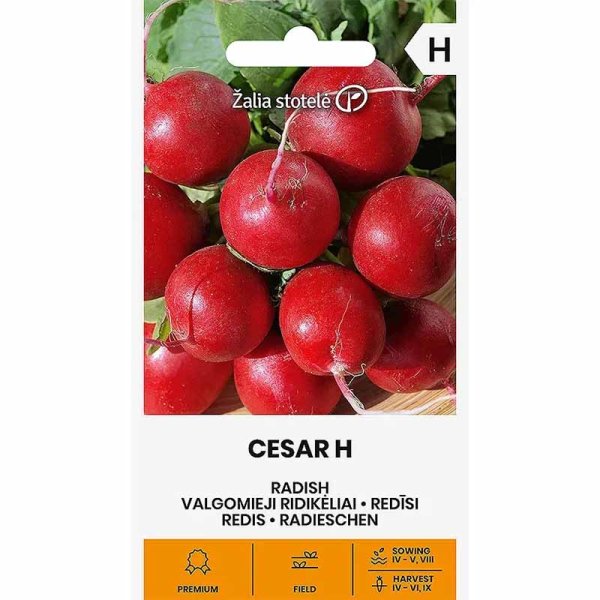 Zoom bild av Rädisa 'Ceasar' H