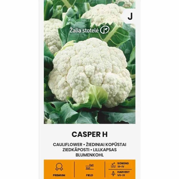 Zoom bild av Blomkål 'Casper' H