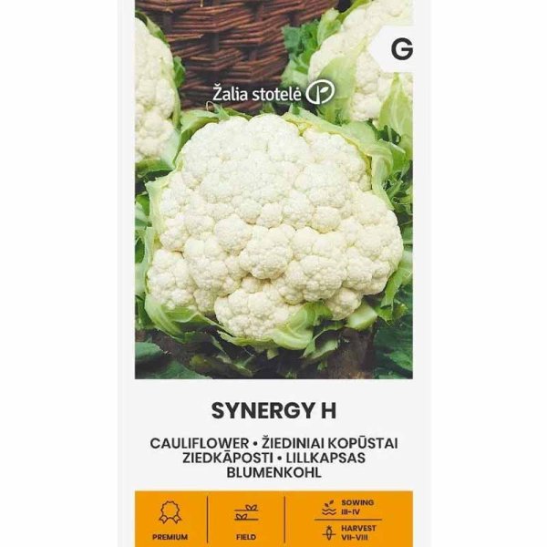 Zoom bilde av Blomkål 'Sunergy' H