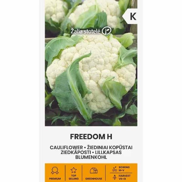 Zoom bilde av Blomkål 'Freedom' H