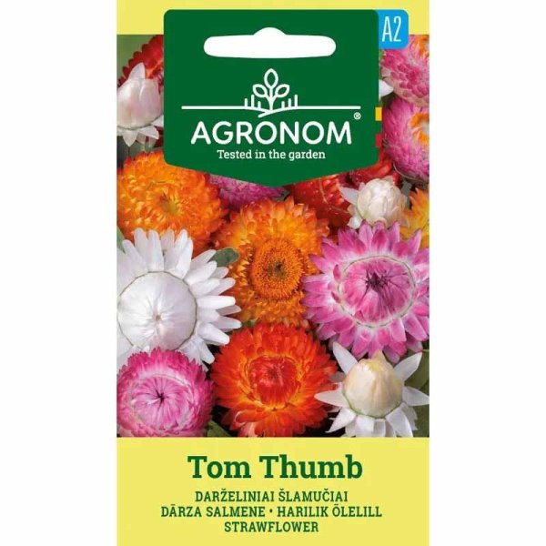 Zoom bilde av Evighetsblomst 'Tom Thumb'