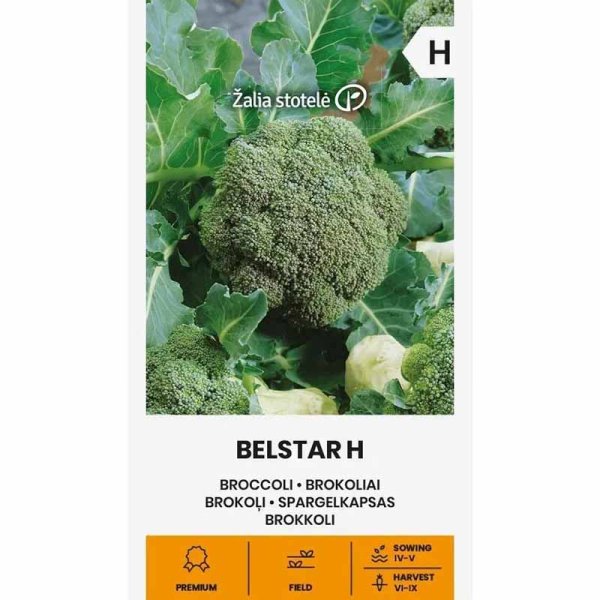 Zoom bilde av Brokkoli 'Bellstar' H