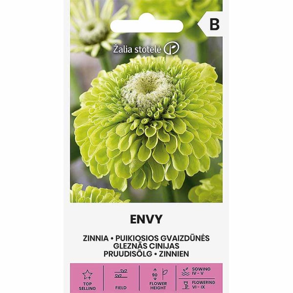 Zoom bilde av Zinnia 'Envy'