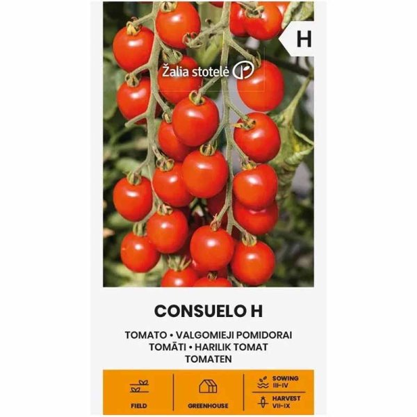 Zoom bild av Tomat 'Consuelo' H
