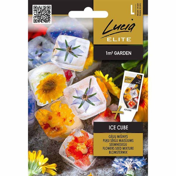 Zoom bild av Blomsterblandning 'Ice cube'