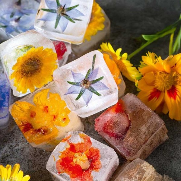 Zoom bild av Blomsterblandning 'Ice cube'