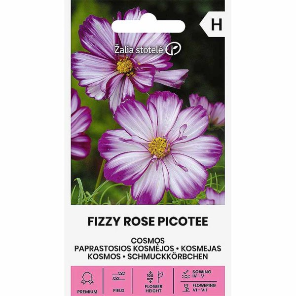 Zoom bilde av Pyntekorg 'Fizzy Rose Picotee'