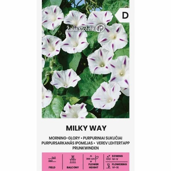 Zoom bild av Purpurvinda 'Milky way'