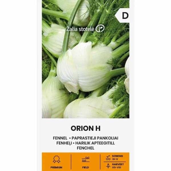 Zoom bilde av Fennikel 'Orion' h