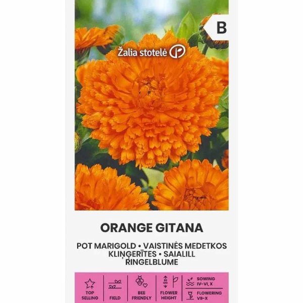 Zoom bilde av Calendula 'Orange gitana'