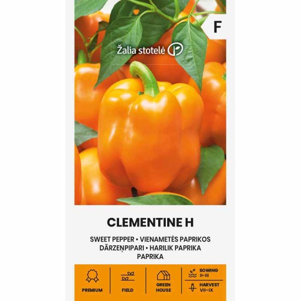 Zoom bild av Paprika 'Clementine' H