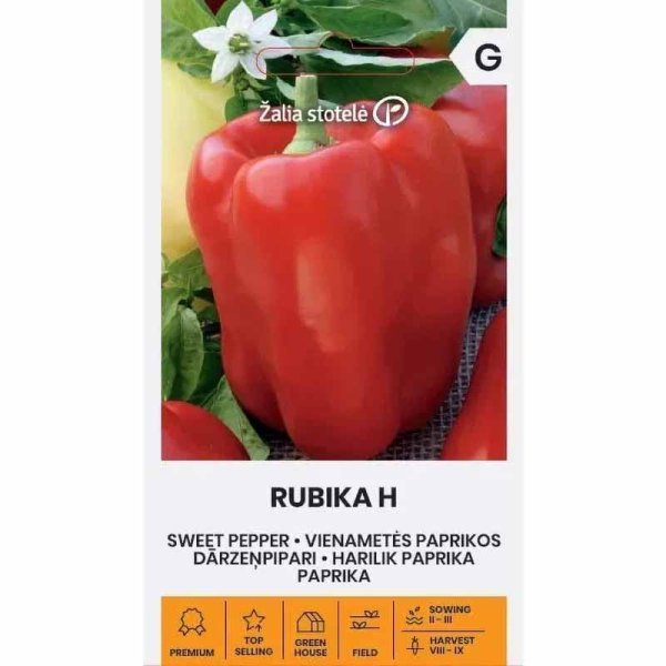 Zoom bild av Paprika 'Rubika' H