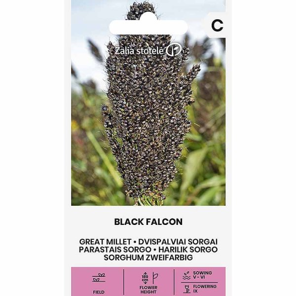 Zoom bild av Pärlhirs 'Black Falcon'