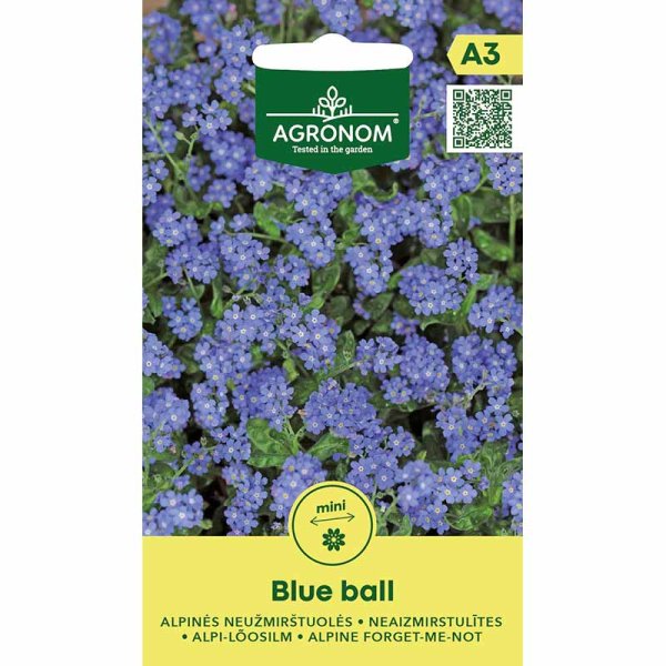 Zoom bild av Alpin Förgätmigej 'Blue Ball'