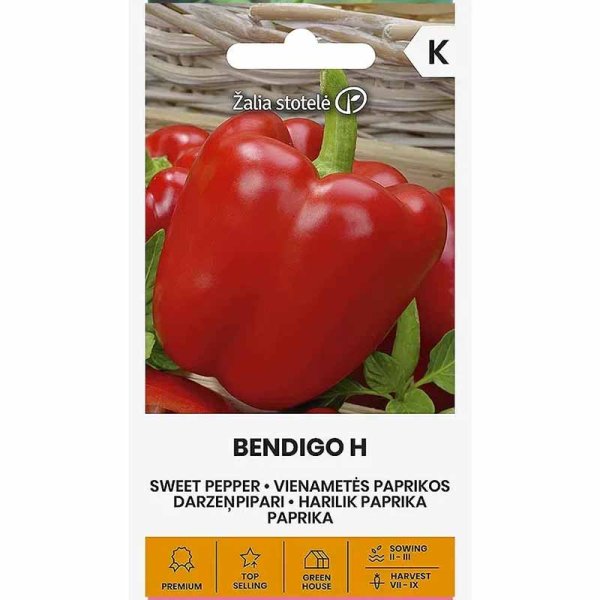 Zoom bild av Paprika 'Bendigo' H