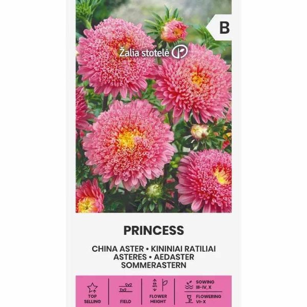 Zoom bilde av Sommerasters 'Princess' Rosa