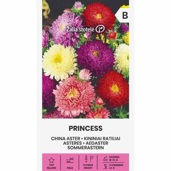 Zoom bilde av Sommerasters 'Princess mix'