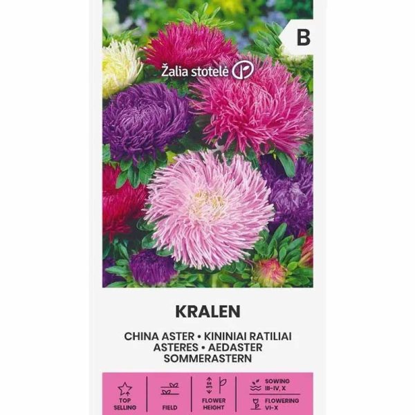 Zoom bilde av Sommerasters 'Kralen'