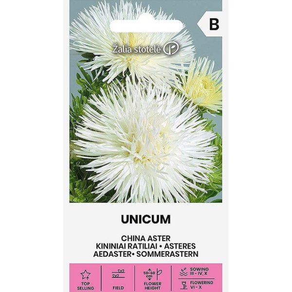 Zoom bilde av Sommerasters 'Unicum' Hvit