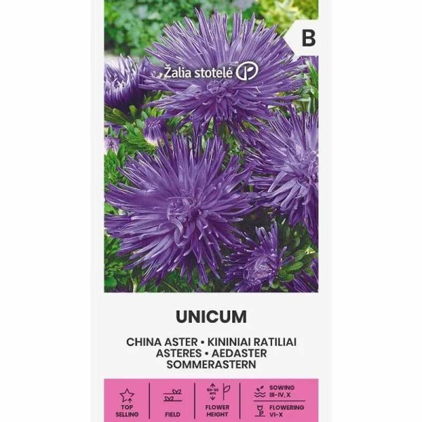 Zoom bilde av Sommerasters 'Unicum' Lilla