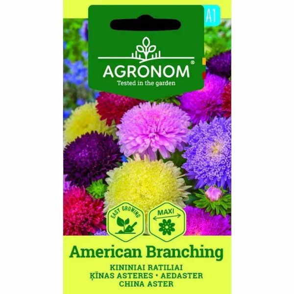 Zoom bilde av Sommeraster 'American Branching'