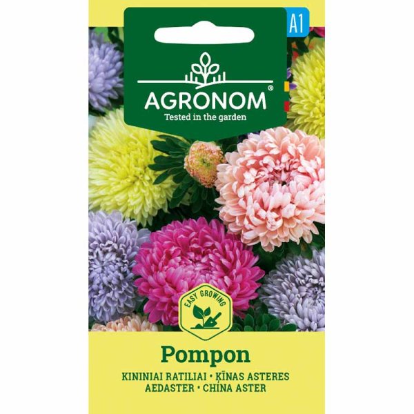 Zoom bilde av Sommeraster 'pompon Mix'