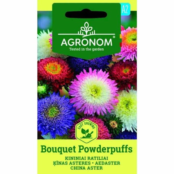 Zoom bilde av Sommeraster 'Bouquet Powderpuffs'
