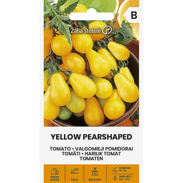 Zoom bild av Pärontomat 'Yellow pearshaped'