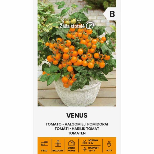 Zoom bilde av Tomat 'Venus'