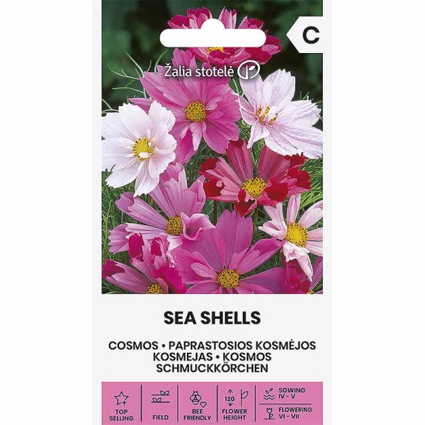 Zoom bild av Rosenskära 'Sea shells'