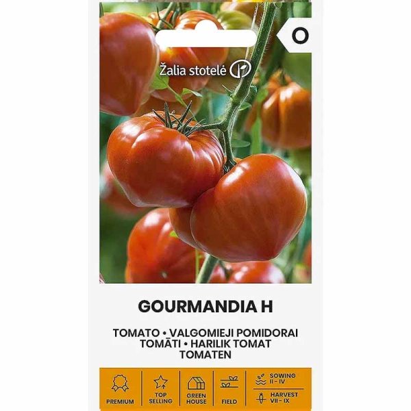 Zoom bild av Bifftomat 'Gourmandia' H