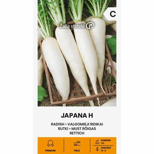 Zoom bild av Rädisa 'Japana'