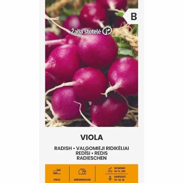 Zoom bild av Rädisa 'Viola'