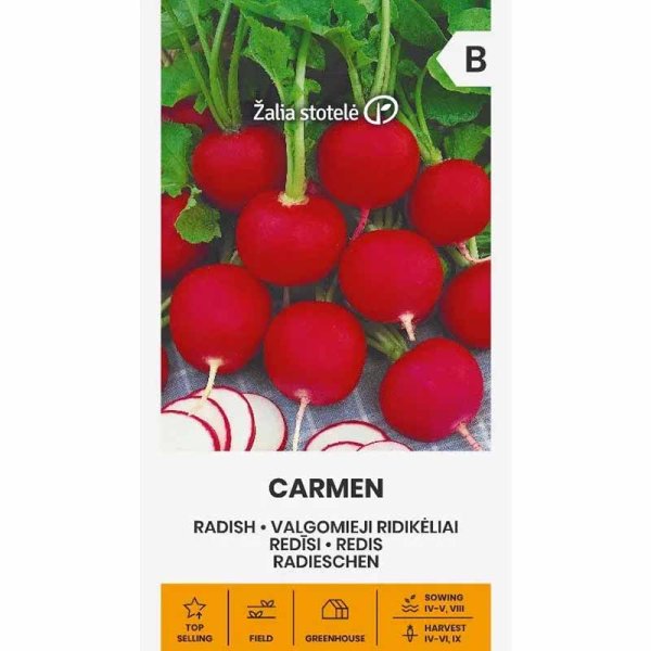 Zoom bild av Rädisa 'Carmen'